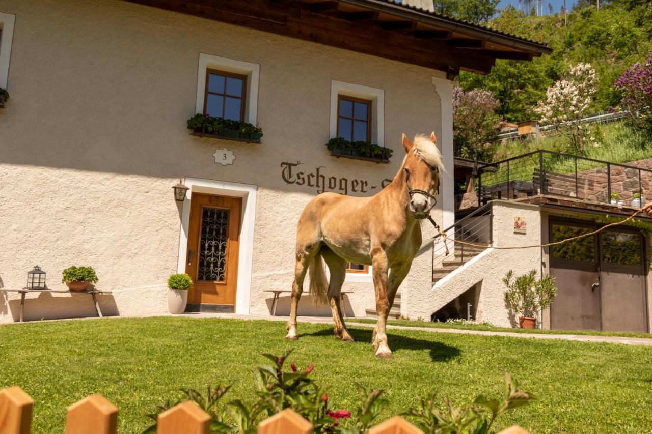 Chalet Tschogerhof Tiers Am Rosengarten Dolomiten Exterior photo